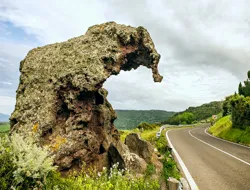 Guided Tour of Castelsardo with Tastings